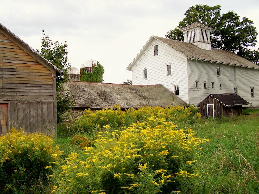 Saratoga Farmstead B&B Saratoga Springs Exterior photo